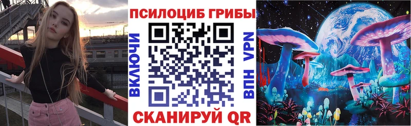Галлюциногенные грибы Psilocybe  Купить закладки  Лыткарино 